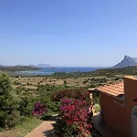 Lu Nibareddu 3*