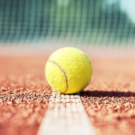 Lu Nibareddu 3* 산테오도로