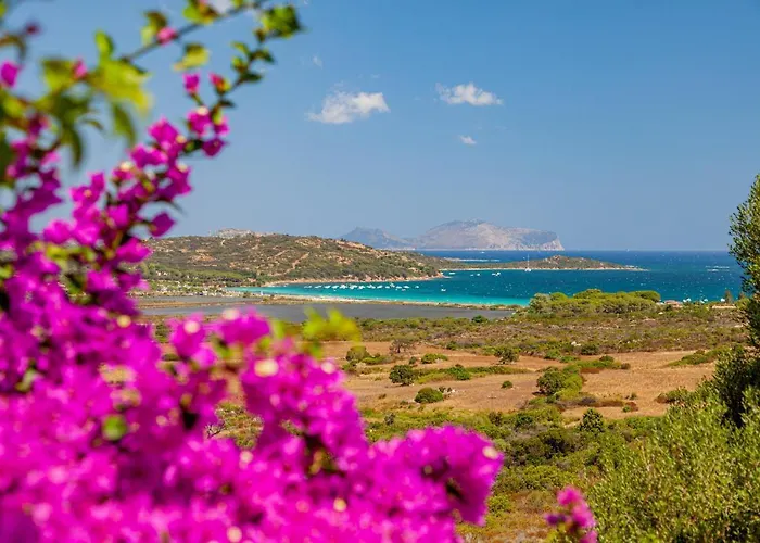 Aparthotel Lu Nibareddu